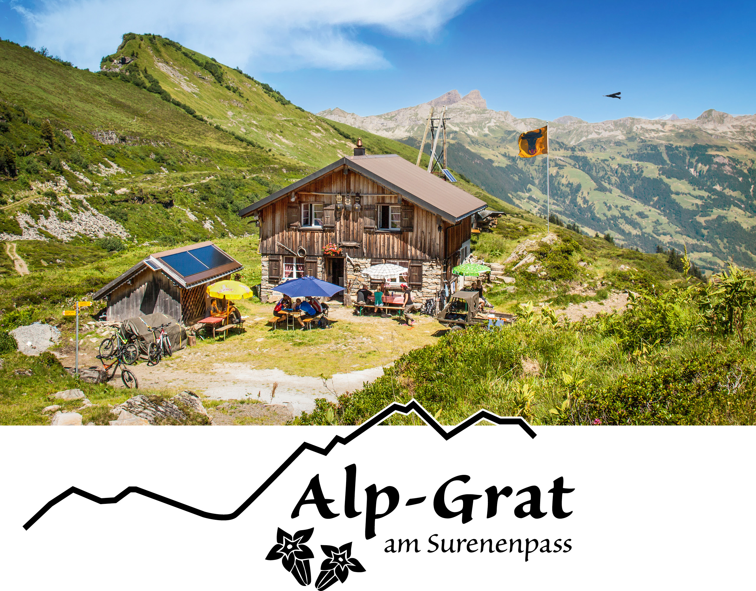 AlpGrat