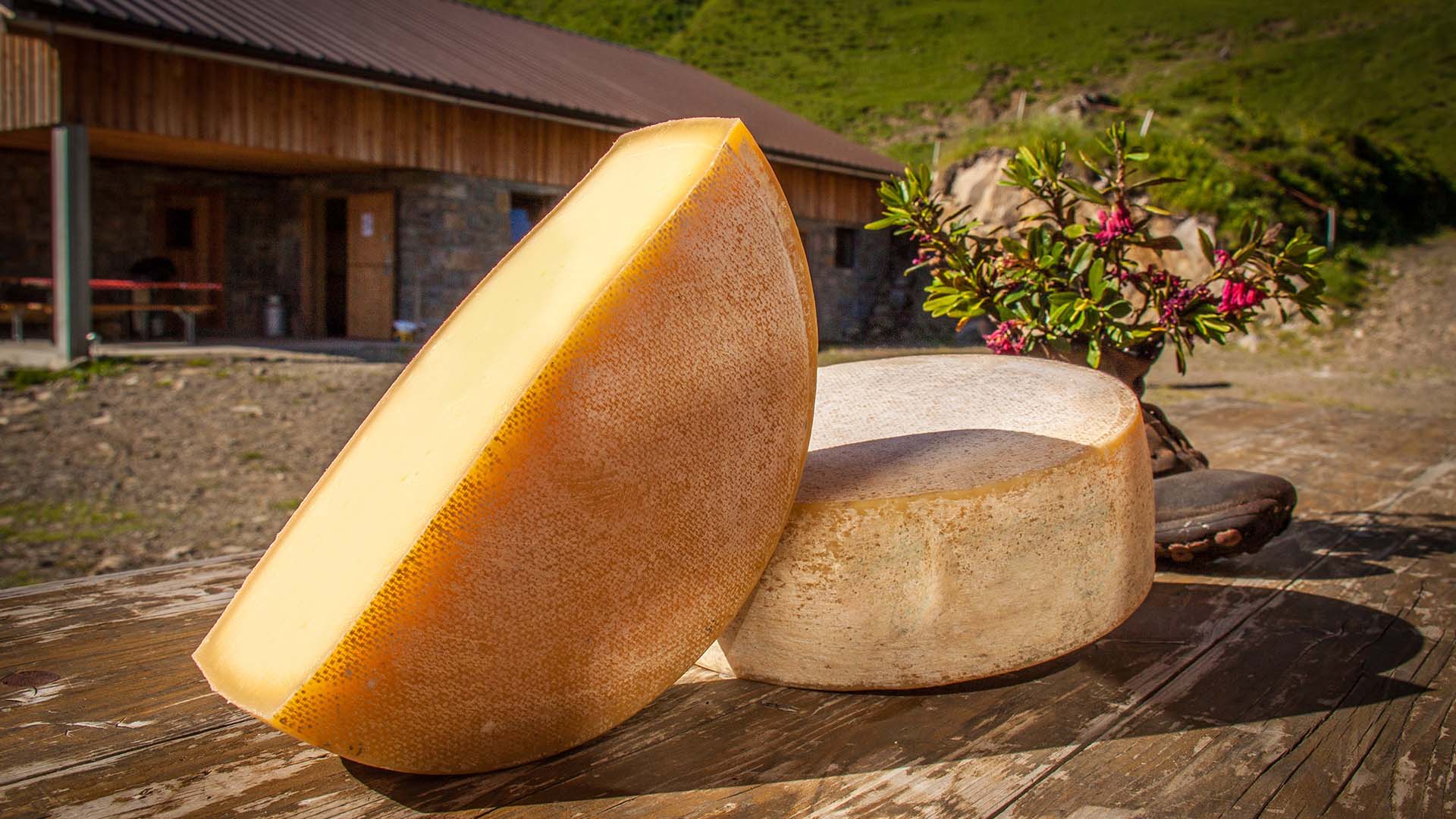 Alpkäse